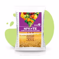 کود 10-52-10 بیوزر 10 کیلویی