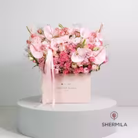 باکس گل دنیز