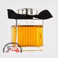 عطر ادکلن کلوهه اینتنس ادو پرفیوم | chloe intense edp