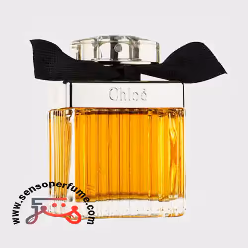 عطر ادکلن کلوهه اینتنس ادو پرفیوم | chloe intense edp