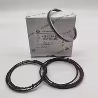 رینگ موتور بسترن b30 وارداتی