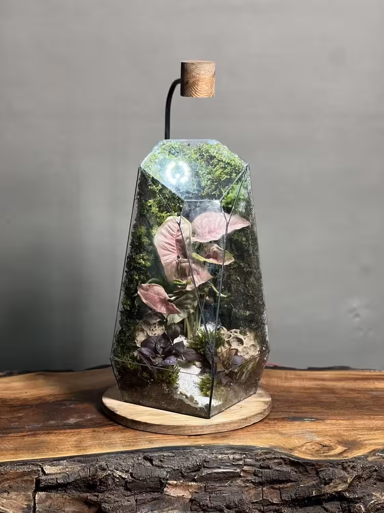 خرید موساریوم چراغدار طرح پینک فاکس (تراریوم)