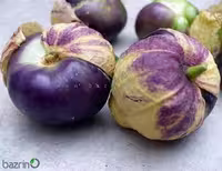 بذر فیسالیس بنفش