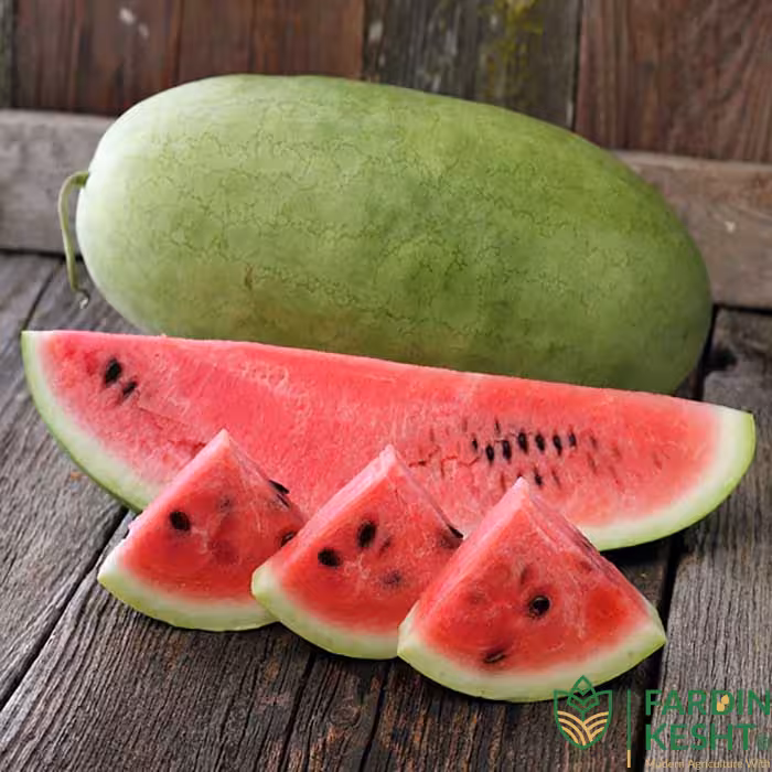 بذر هندوانه چارلستون بسته 20 عددی