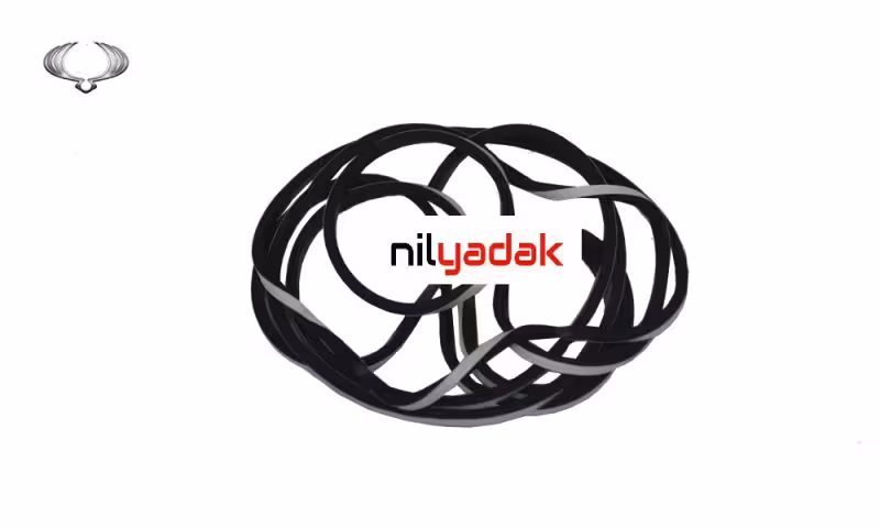 زه دور شیشه جلو سانگ یانگ تیوولی