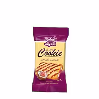 کلوچه دومغز نارگیل و انجیر نادری 30 گرمی