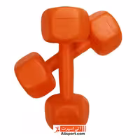 دمبل ایروبیک 2 و نیم کیلوگرم یک جفت