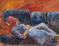 میان خواب و رویا