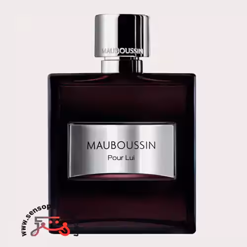 عطر ادکلن مابوسین پور لویی ادوپرفیوم | mauboussin pour lui edp