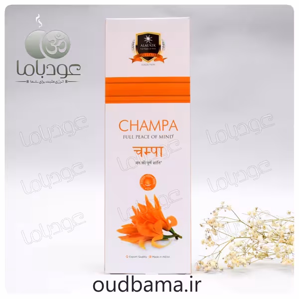 عود دست ساز چامپا CHAMPA ( آلوکیک ALAUKIK )