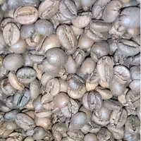 قهوه ویتنام 500 گرمی