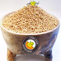 دانه خردل زرد اعلا تیارمزه، تمیز ، درشت ، فاقد ناخالصی