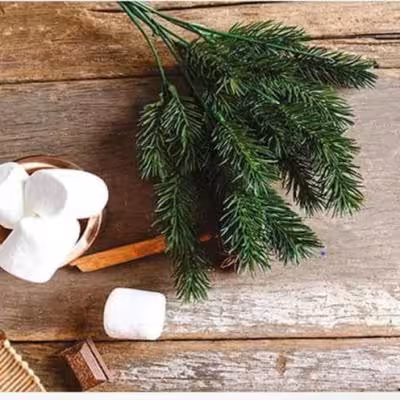 آبگیر کنار سینک