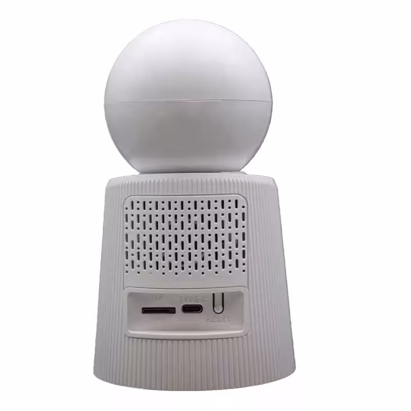 دوربین مداربسته تحت شبکه رایمون مدل RW300