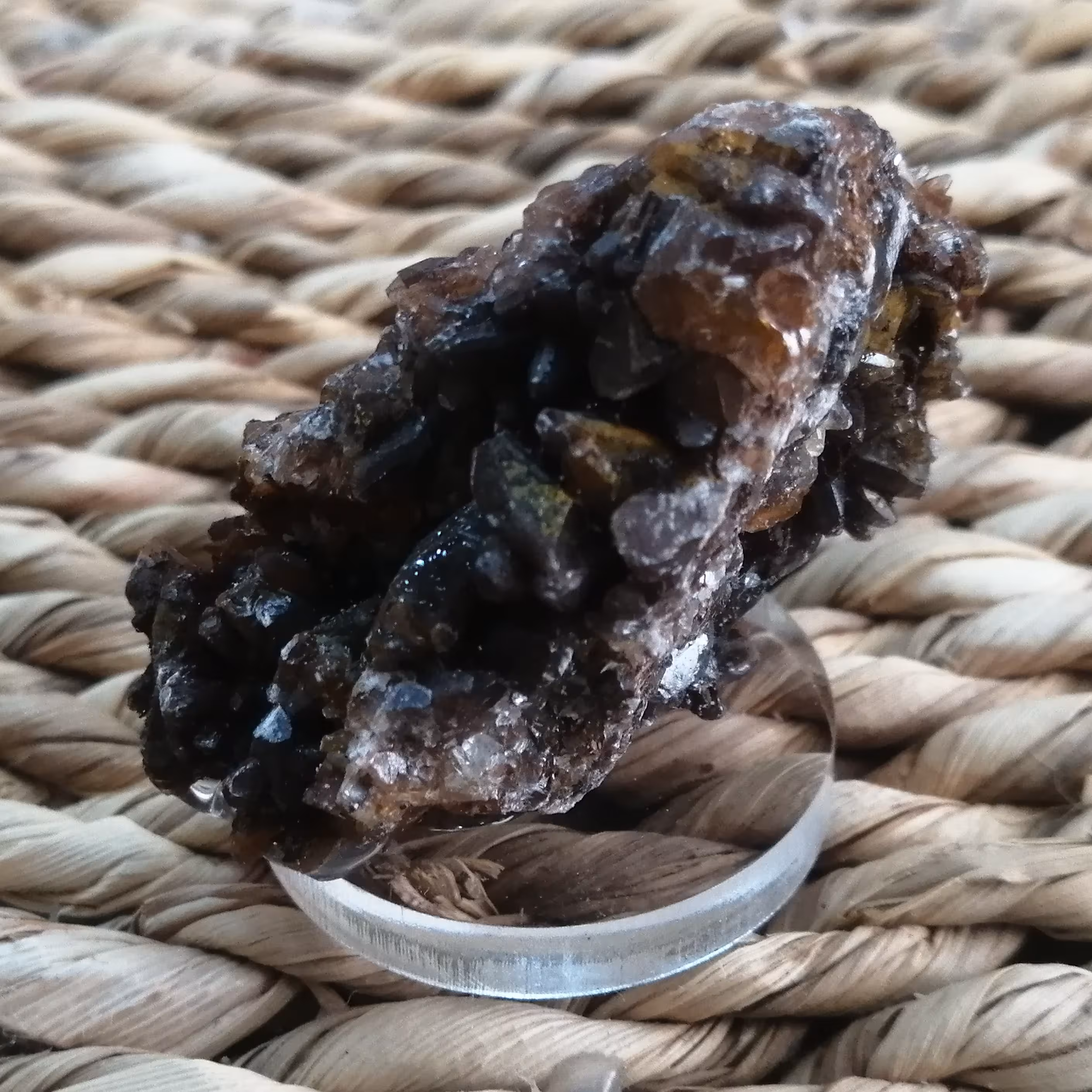 راف کلکسیونی کلسیت دوکی 33