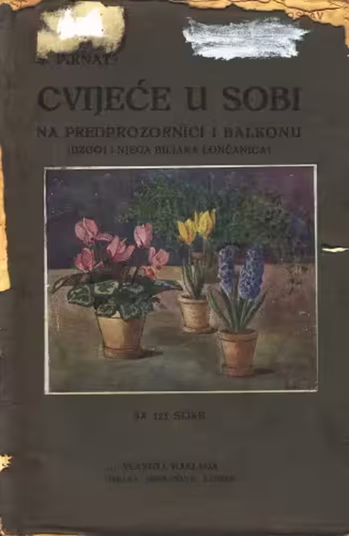 خرید و دانلود نسخه کامل کتاب Cvijeće u sobi na predprozornici i balkonu (uzgoj i njega biljaka lončanica)