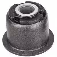 بوش طبق لبه دار ایساکو مناسب برای دانگ فنگ