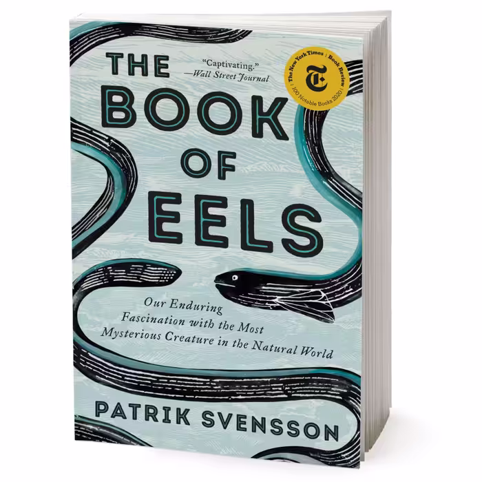 کتاب The Book of Eels اثر Patrik Svensson انتشارات HarperCollins Publishers Inc