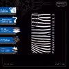 برچسب پوششی ماهوت مدل Zebra Skin-FullSkin مناسب برای گوشی موبایل سامسونگ Galaxy S21 FE 5G