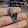 مضراب تار مدل b14