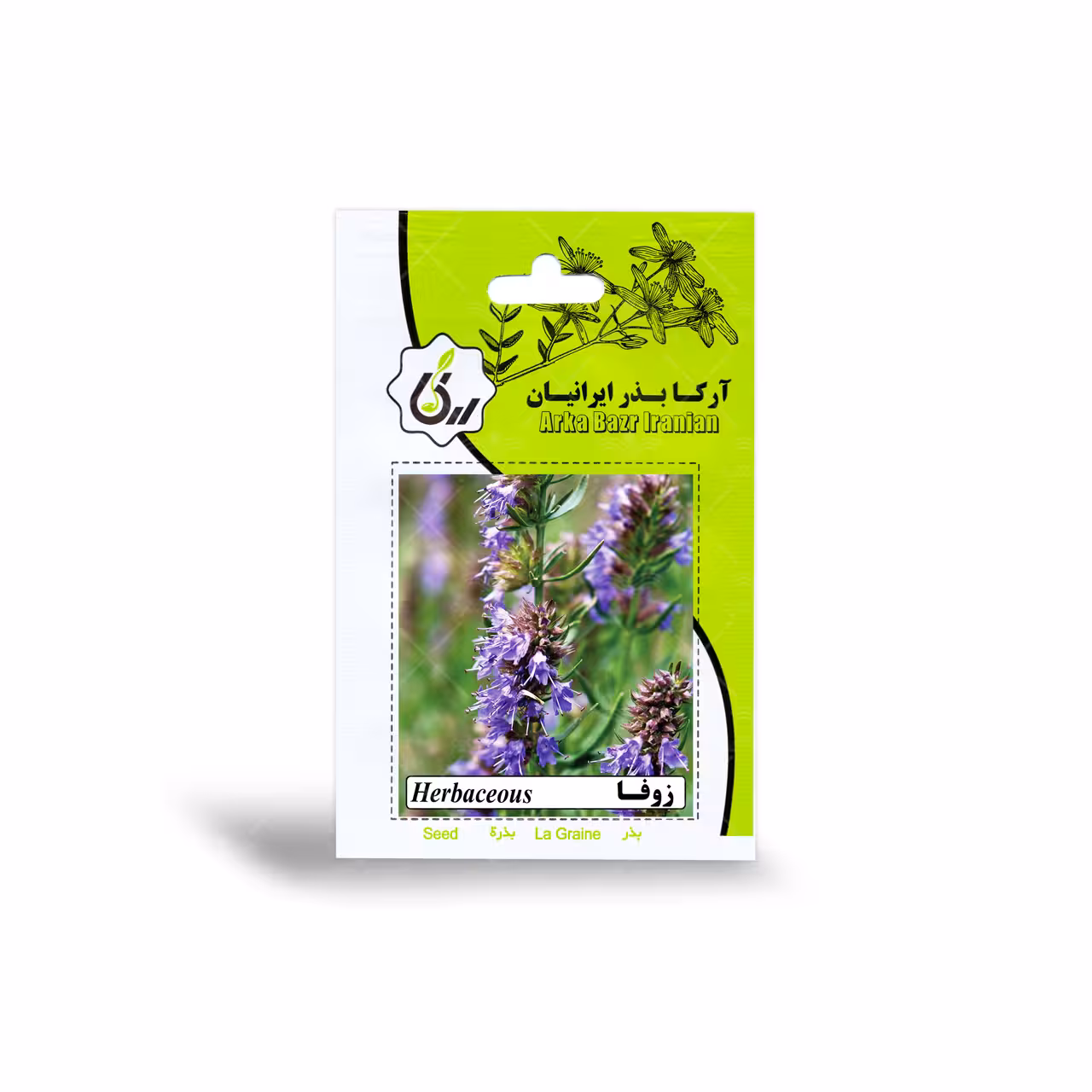 بذر خانگی زوفا آرکا بذر ایرانیان