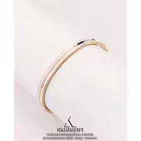 دستبند دنیل ولینگتون استیل Daniel Wellington Bracele WRG