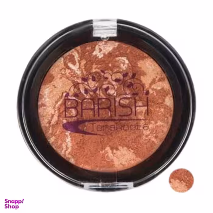 رژگونه تراکوتا باریش (Barish) مدل Silky Touch شماره 201