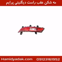 مه شکن عقب راست دیگنیتی پرایم