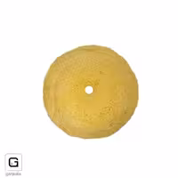 پوست بره پشت کرکی 18/5 سانت pas