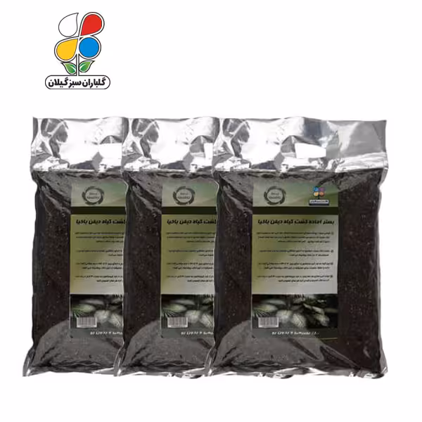 بستر آماده کشت دیفن باخیا 4 کیلوگرمی بسته سه عددی