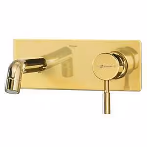 شیر روشویی توکار یک تکه شودر مدل روگن طلا