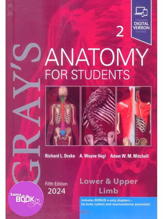 آناتومی گری 2024 جلد دوم اندام زبان اصلی Gray’s Anatomy for Students vol 2 (5th edition) 2024