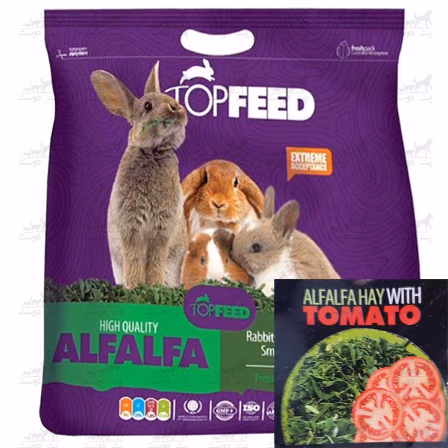 یونجه مخصوص جوندگان مدل آلفا آلفا با گوجه برند تاپ فید