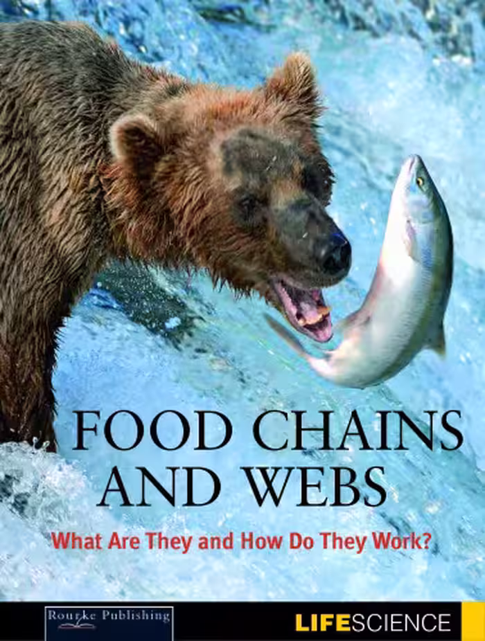 خرید و دانلود نسخه کامل کتاب Food Chains and Webs: What Are They And How Do They Work? (Let's Explore Science)