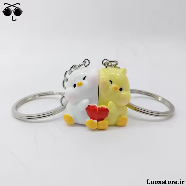 جاکلیدی ست کاپلی مگنت دار بامزه