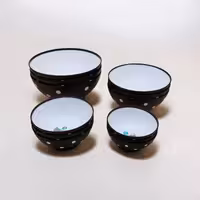 کاسه پلاستیکی مدل Spotty bowl برند هوبی لایف ترکیه در 4 سایز مختلف _ رنگ سفید و مشکی