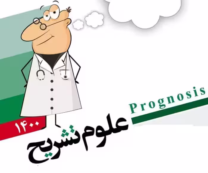 علوم تشریح اعصاب