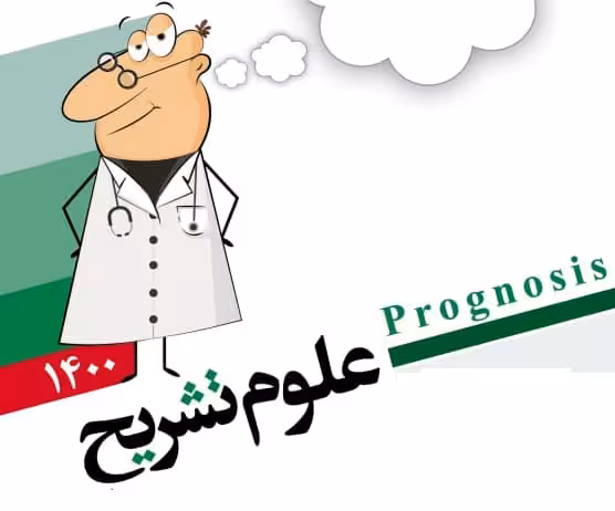 علوم تشریح اعصاب