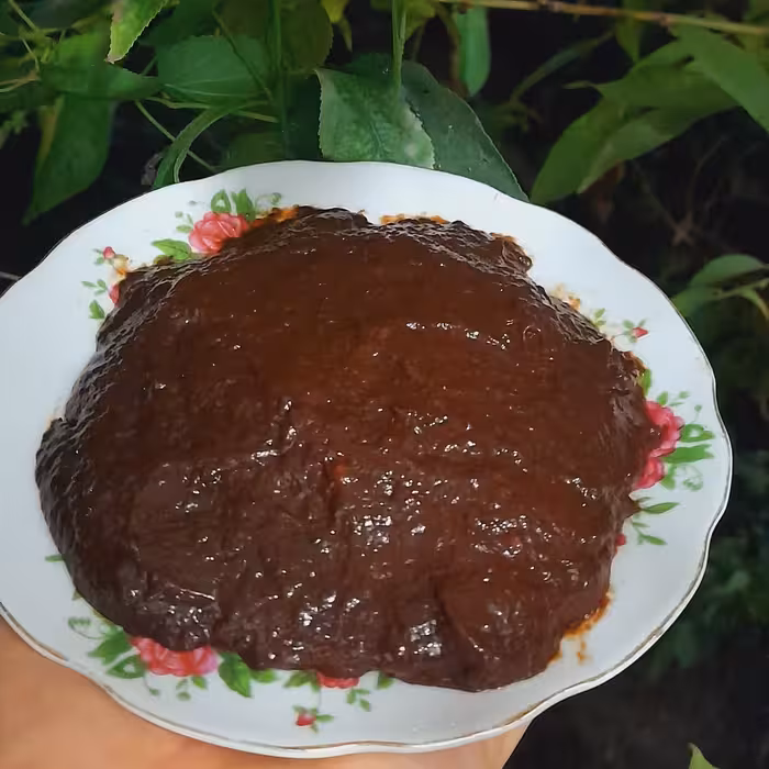 رب آلوچه و آلو خرمایی ( بخارا ) ارگانیک روستای زیارت 