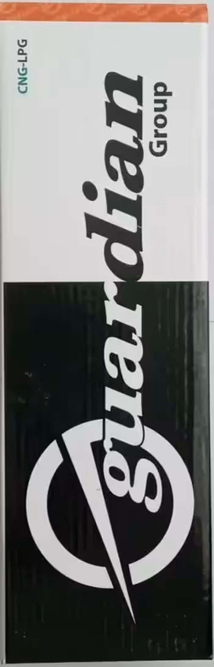 وایر شمع تقویتی ال90 مگانی گاردین