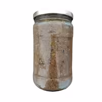 زیتون پرورده فدک 750 گرم