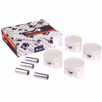 پيستون RIO-025 با گژن پين عظام کد 3107070