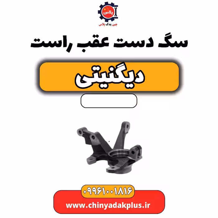 سگ دست عقب راست دیگنیتی