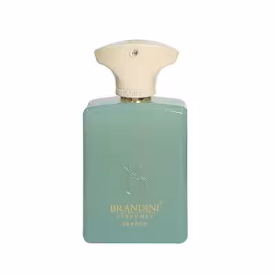 عطر جیبی برندینی مدل Search حجم 33 میلی لیتر