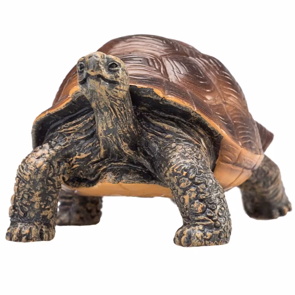 فیگور لاکپشت غول پیکر Giant Turtul Figure MOJO