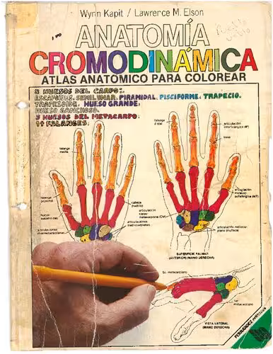 خرید و دانلود نسخه کامل کتاب Anatomía Cromodinámica. Atlas anatómico para colorear