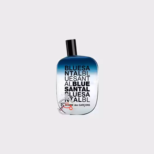 عطر ادکلن کام دی گارکونس بلو سانتال | comme des garcons blue santal