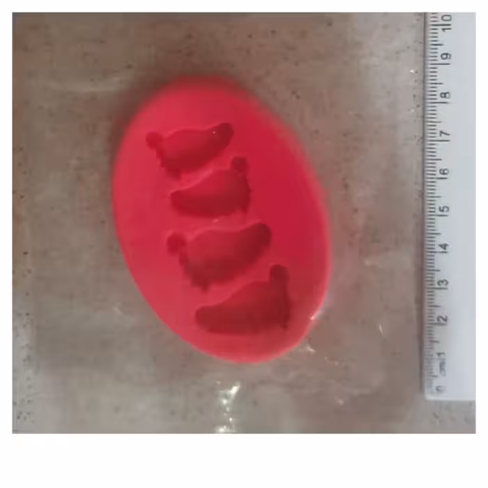 ملد سیلیکونی پا