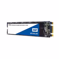 حافظه داخلی وسترن دیجیتال SSD M.2 Blue 1TB WDS100T2B0