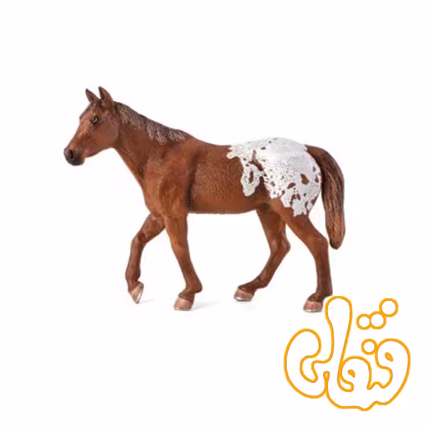اسب اپولوسا شاه بلوطی Appaloosa Stallion Chestnut Blanket 387150